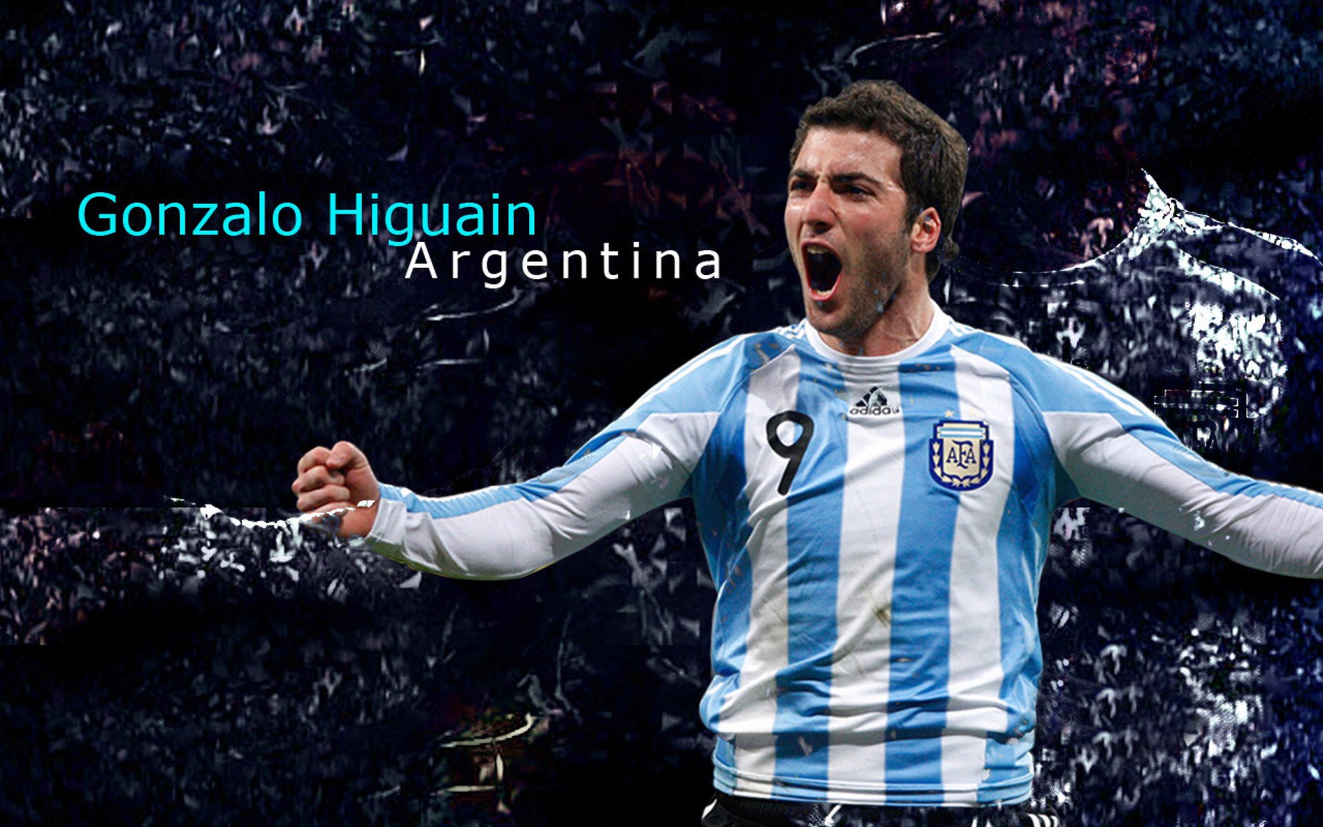 教练团队幕后功臣受赞誉,教练组成员